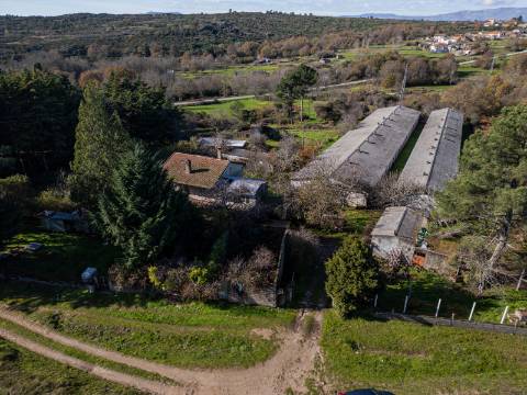 Em Campanha, Moradia T3 e Outras Edificações em Terreno de 12.491m2