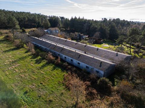 Em Campanha, Moradia T3 e Outras Edificações em Terreno de 12.491m2