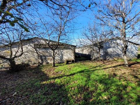 Em Campanha, Moradia T3 e Outras Edificações em Terreno de 12.491m2