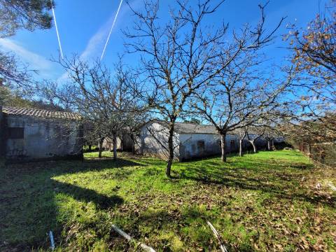 Em Campanha, Moradia T3 e Outras Edificações em Terreno de 12.491m2