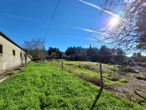Em Campanha, Moradia T3 e Outras Edificações em Terreno de 12.491m2