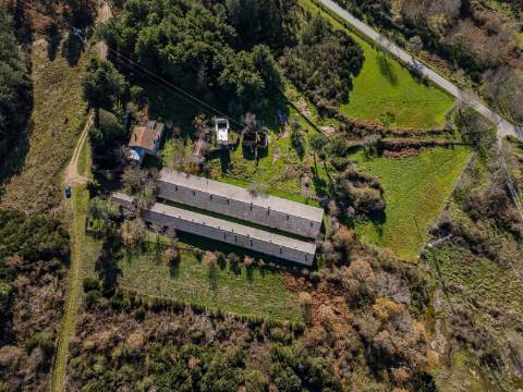 Em Campanha, Terreno de 12.491m2 com Moradia T3 e Outras Edificações