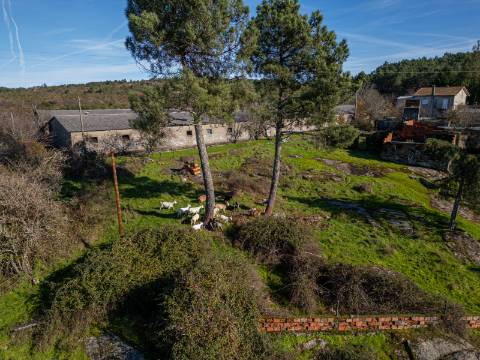 Em Campanha, Terreno de 12.491m2 com Moradia T3 e Outras Edificações