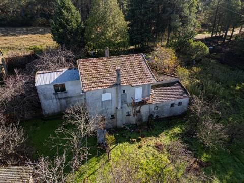 Em Campanha, Terreno de 12.491m2 com Moradia T3 e Outras Edificações