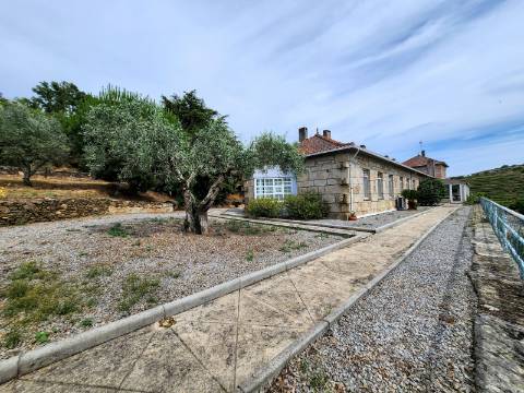 Unidade de Turismo inserida em Quinta de 20 hectares