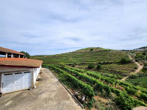 Unidade de Turismo inserida em Quinta de 20 hectares