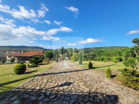 Terreno de 10.000 m2 com Casa em Pedra Reabilitada