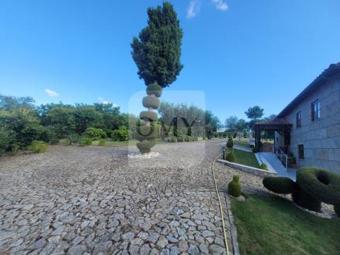 Terreno de 10.000 m2 com Casa em Pedra Reabilitada