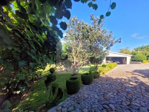 Terreno de 10.000 m2 com Casa em Pedra Reabilitada