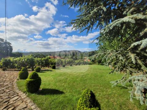 Terreno de 10.000 m2 com Casa em Pedra Reabilitada