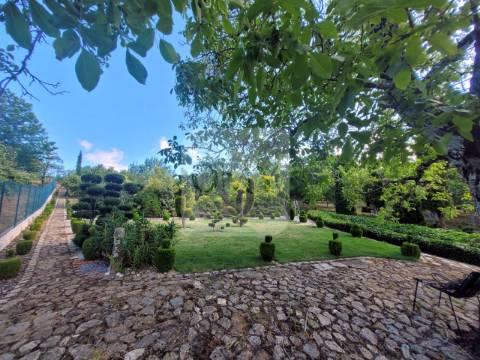 Terreno de 10.000 m2 com Casa em Pedra Reabilitada