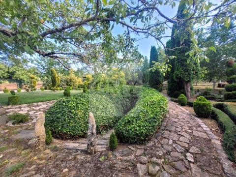 Terreno de 10.000 m2 com Casa em Pedra Reabilitada
