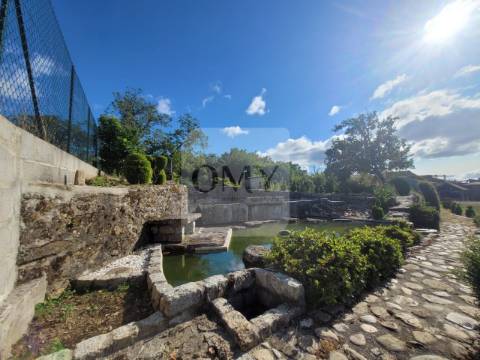 Terreno de 10.000 m2 com Casa em Pedra Reabilitada