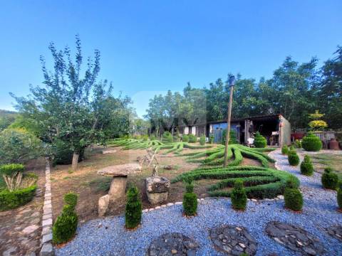 Terreno de 10.000 m2 com Casa em Pedra Reabilitada