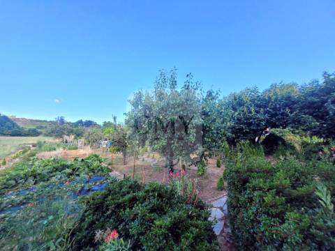 Terreno de 10.000 m2 com Casa em Pedra Reabilitada
