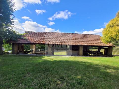 Terreno de 10.000 m2 com Casa em Pedra Reabilitada