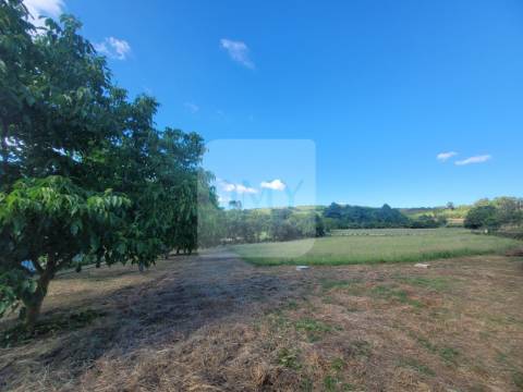 Terreno de 10.000 m2 com Casa em Pedra Reabilitada