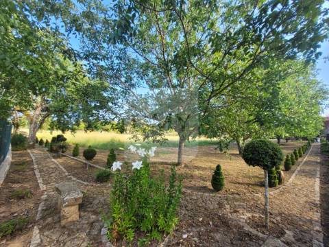 Terreno de 10.000 m2 com Casa em Pedra Reabilitada