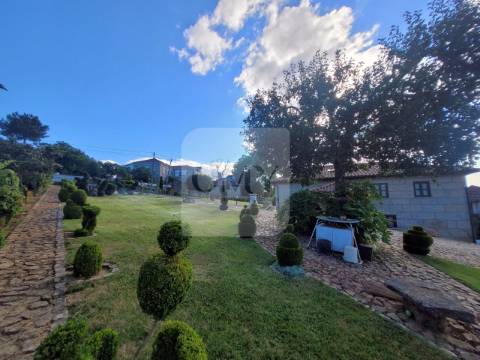 Terreno de 10.000 m2 com Casa em Pedra Reabilitada