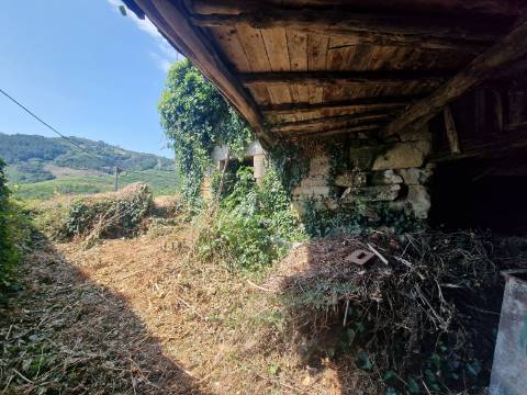 Terreno de 246 m2 com Ruina em Fornelos, Santa Marta de Penaguião