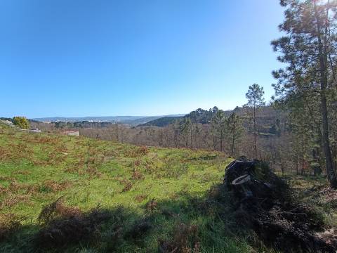 Terreno em Quintela, Vila Marim, Vila Real