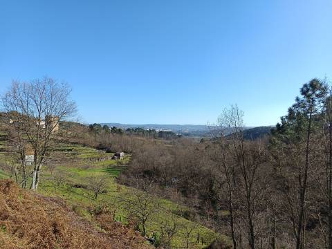 Terreno em Quintela, Vila Marim, Vila Real