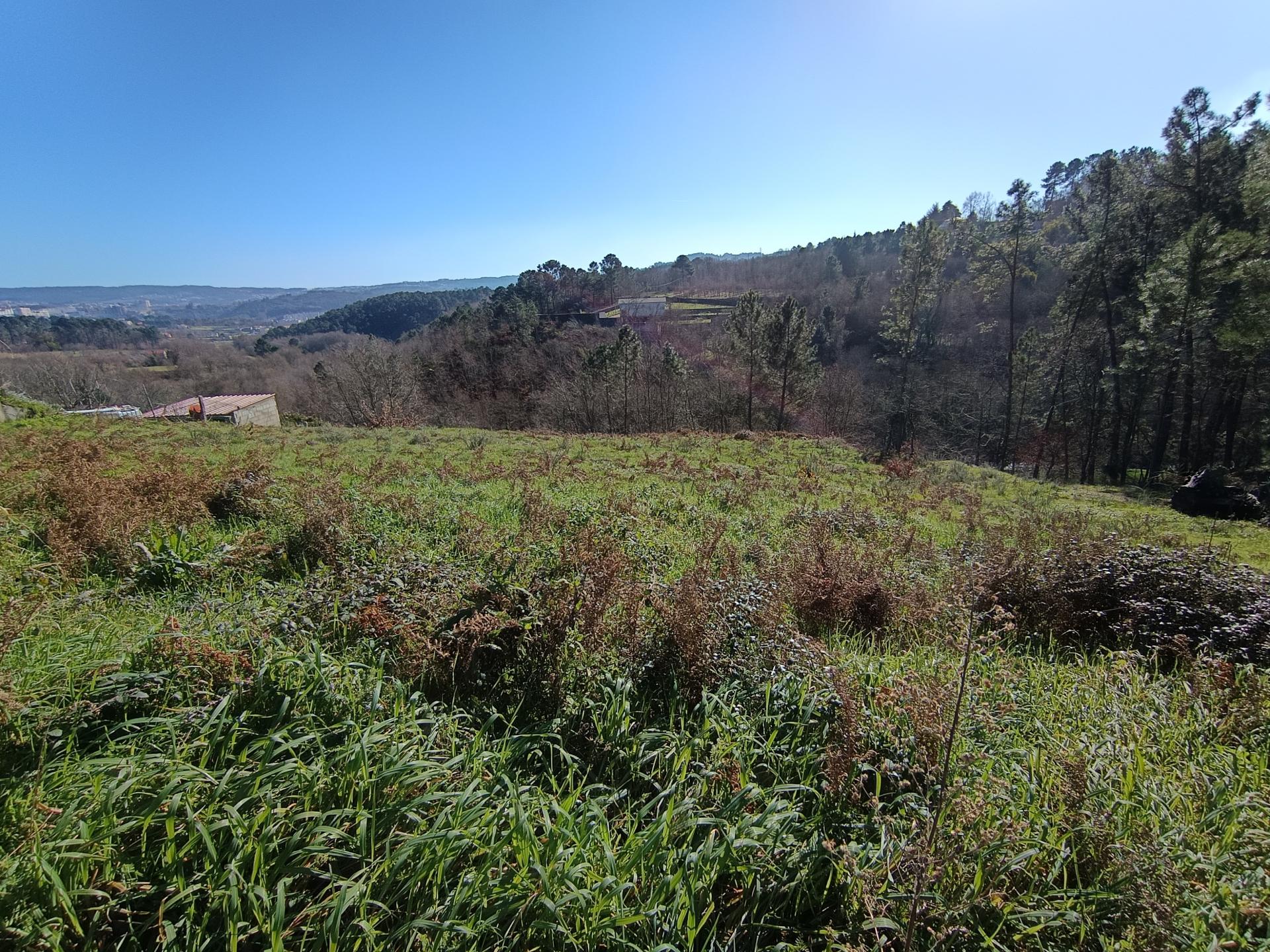 Terreno em Quintela, Vila Marim, Vila Real