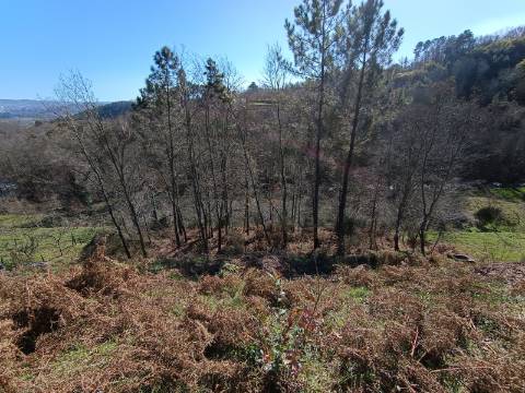 Terreno em Quintela, Vila Marim, Vila Real