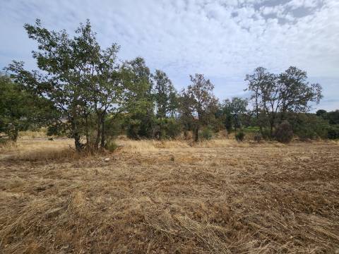 Terreno de 5.600 m2 com Viabilidade de Construção