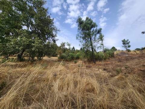 Terreno de 5.600 m2 com Viabilidade de Construção