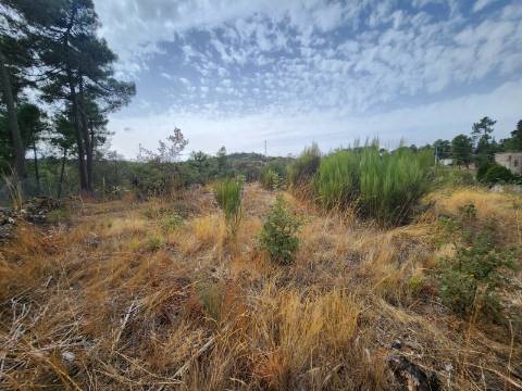 Terreno de 5.600 m2 com Viabilidade de Construção
