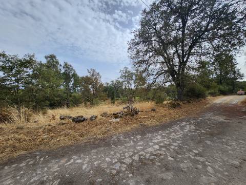 Terreno de 5.600 m2 com Viabilidade de Construção
