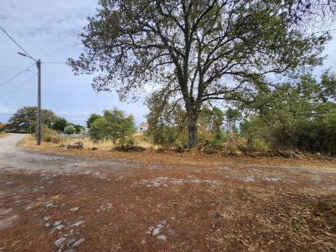 Terreno de 5.600 m2 com Viabilidade de Construção