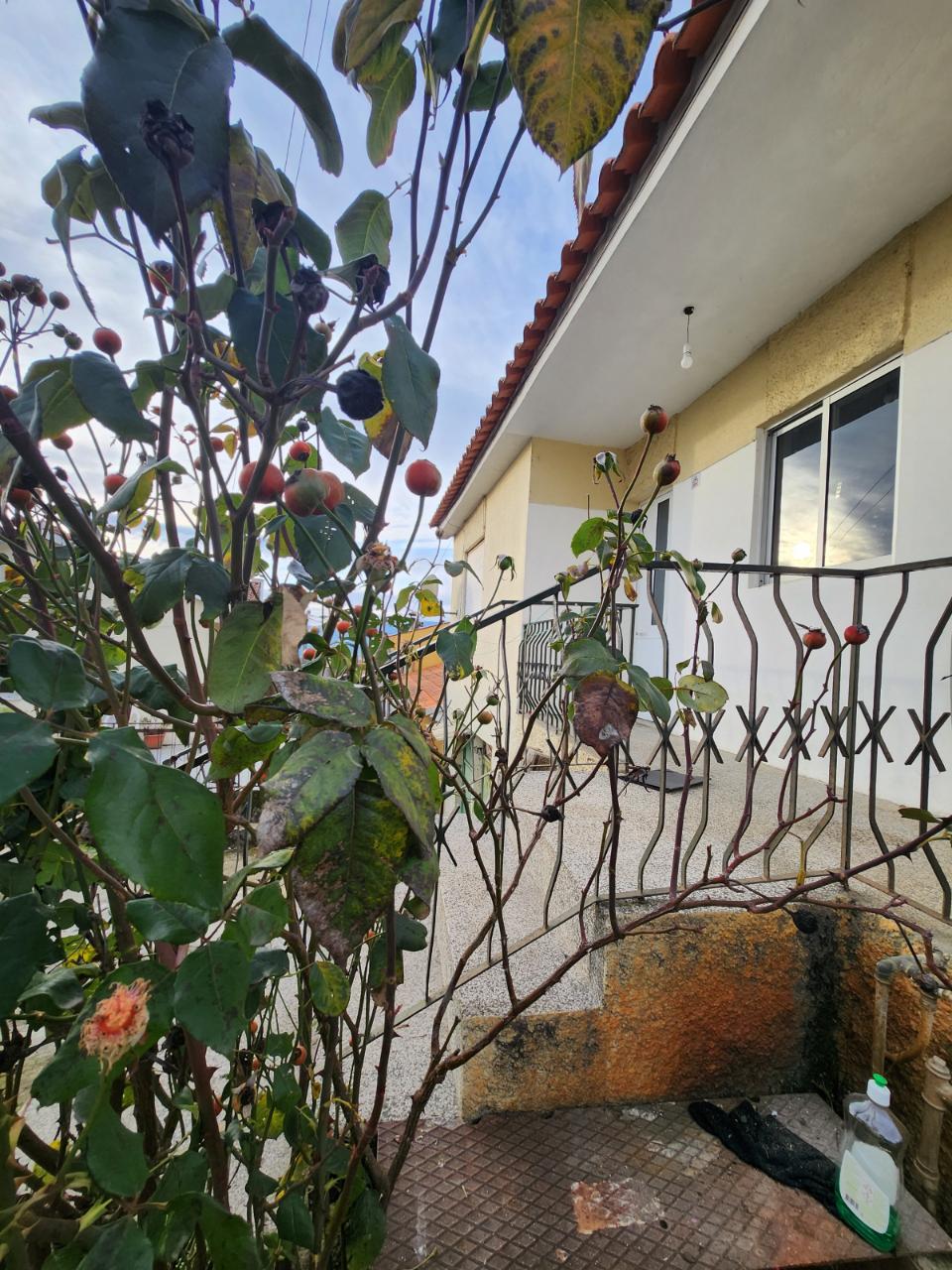 Moradia T2+1 de Cave e Rés do Chão na Raia, Mateus, Vila Real