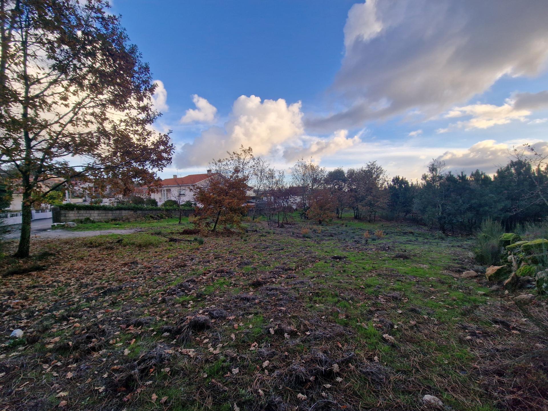 Terreno de 6.750 m2 em Adoufe, Vila Real