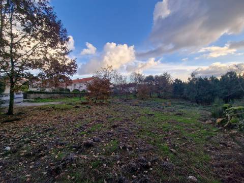 Terreno de 6.750 m2 em Adoufe, Vila Real