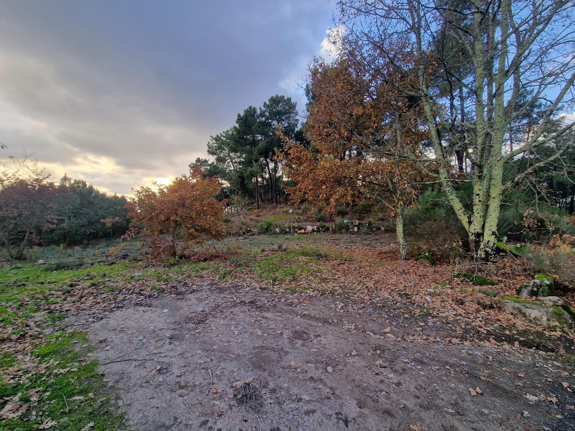 Terreno de 6.750 m2 em Adoufe, Vila Real