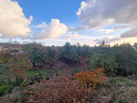 Terreno de 6.750 m2 em Adoufe, Vila Real
