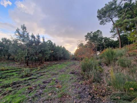 Terreno de 6.750 m2 em Adoufe, Vila Real