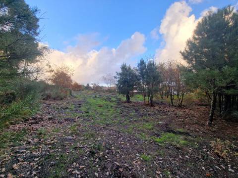 Terreno de 6.750 m2 em Adoufe, Vila Real