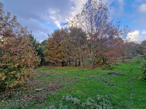 Terreno de 6.750 m2 em Adoufe, Vila Real