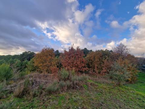 Terreno de 6.750 m2 em Adoufe, Vila Real