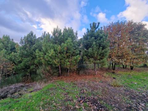 Terreno de 6.750 m2 em Adoufe, Vila Real