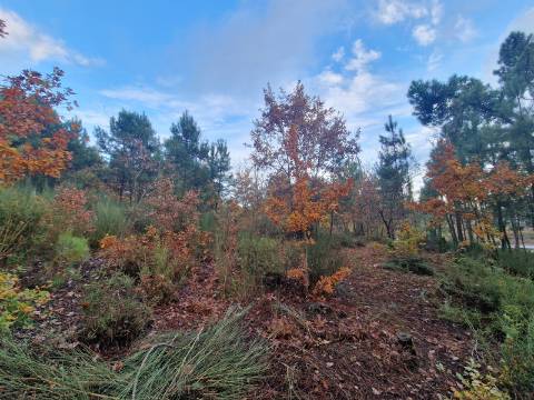 Terreno de 6.750 m2 em Adoufe, Vila Real