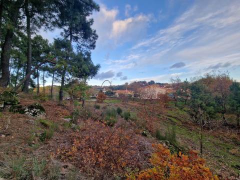 Terreno de 6.750 m2 em Adoufe, Vila Real
