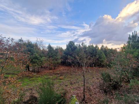 Terreno de 6.750 m2 em Adoufe, Vila Real