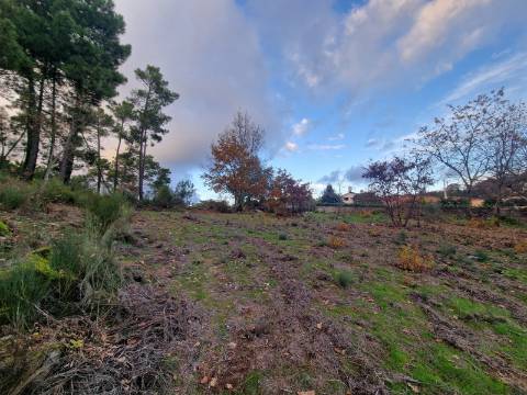 Terreno de 6.750 m2 em Adoufe, Vila Real