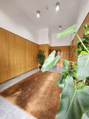 Em Vila Real, T2+1 com Acabamentos Singulares e Terraço Exclusivo