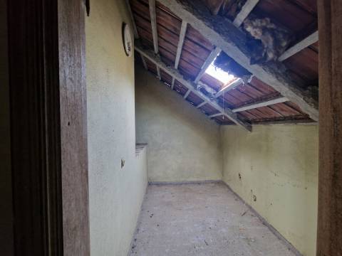 Moradia com 3 Pisos e Logradouro em Loureiro, Peso da Régua