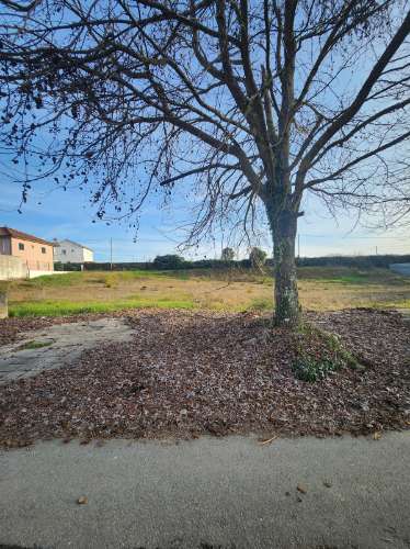Lote com Projeto Aprovado para Moradia Unifamiliar